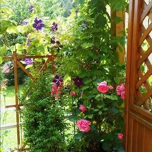 Mit Gartenblick Apartment Eckersdorf